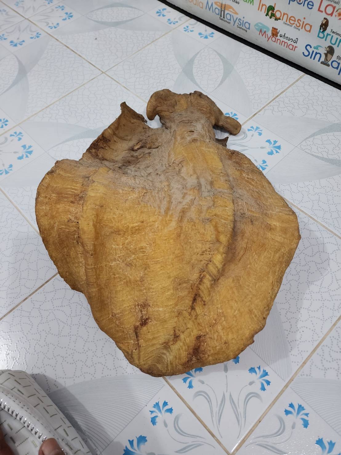 รับซื้อโสมเก่า โสมเกาหลีกระป๋อง ยาจีนเก่า