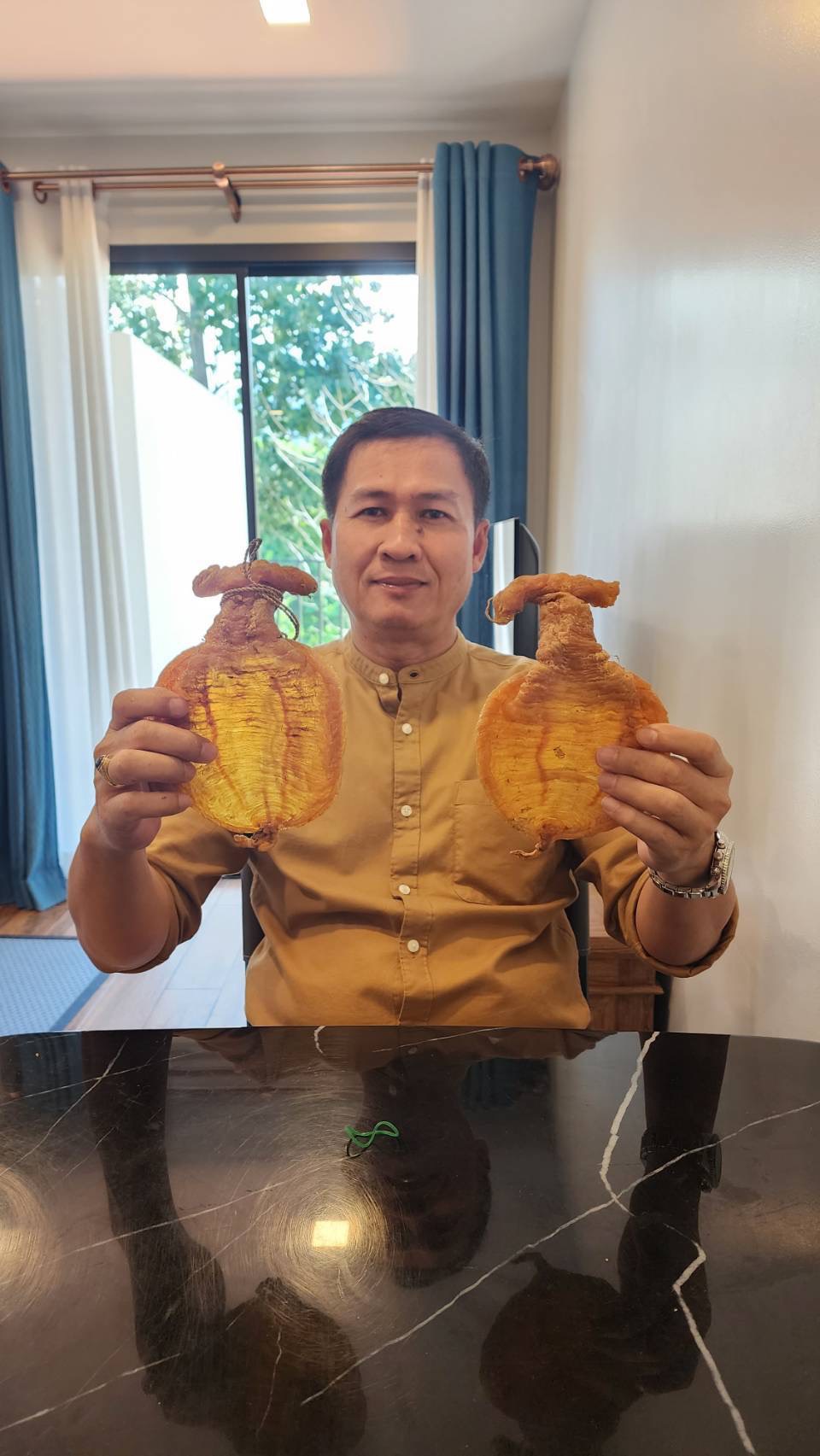 กระเพาะปลา