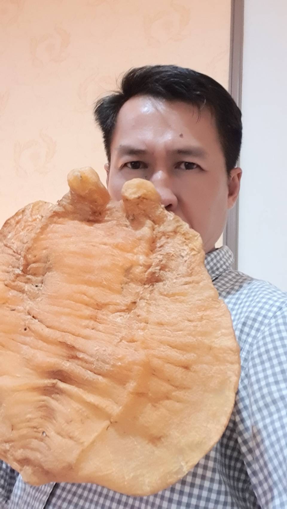 กระเพาะปลา