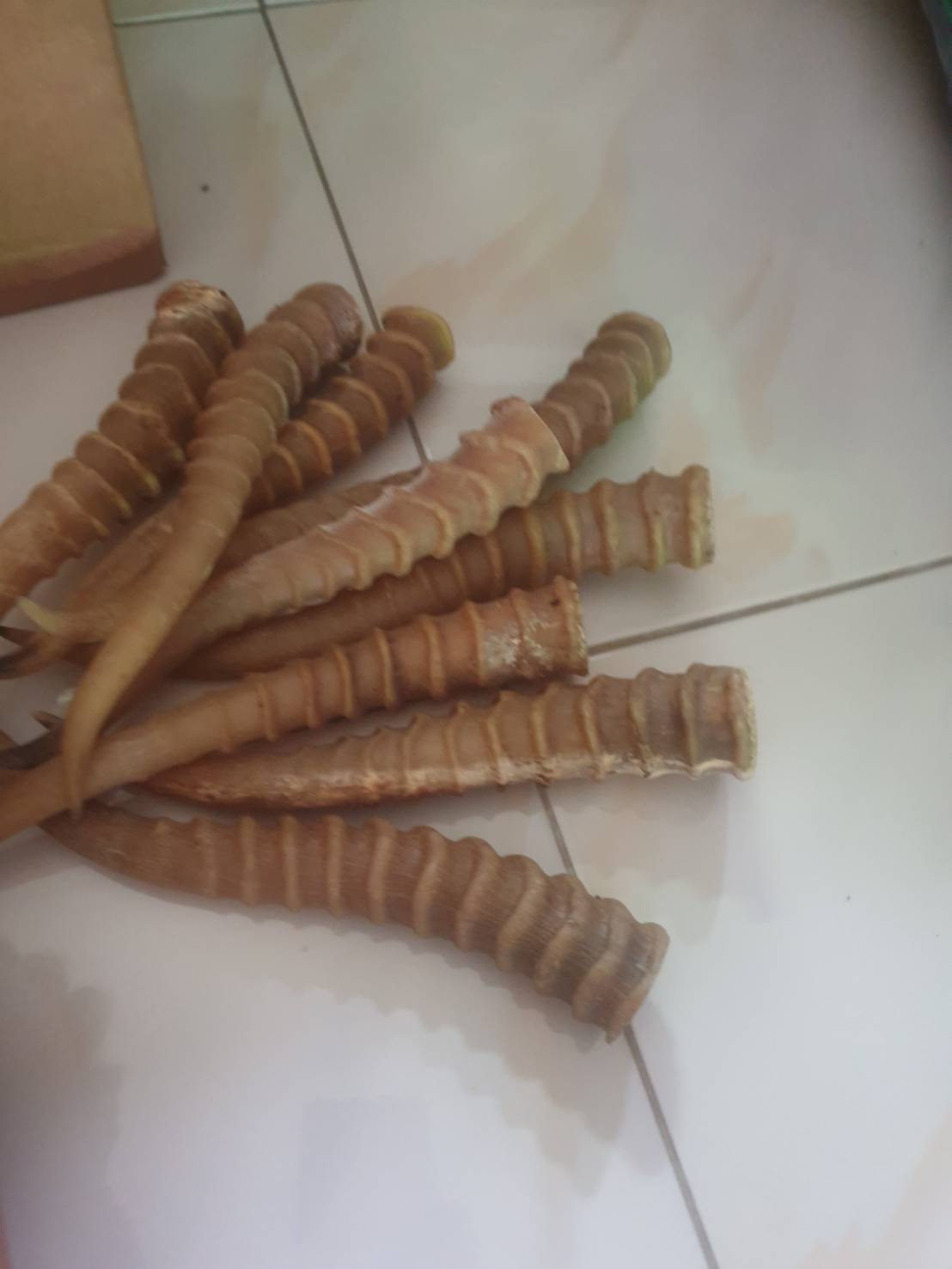ของเก่าของสะสม