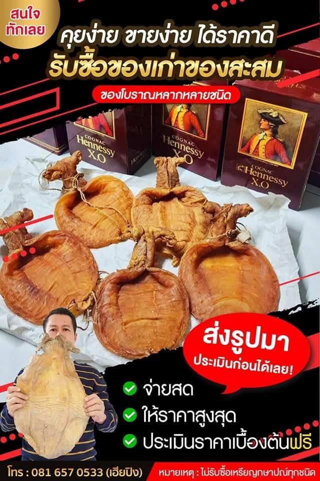 กระเพาะปลา