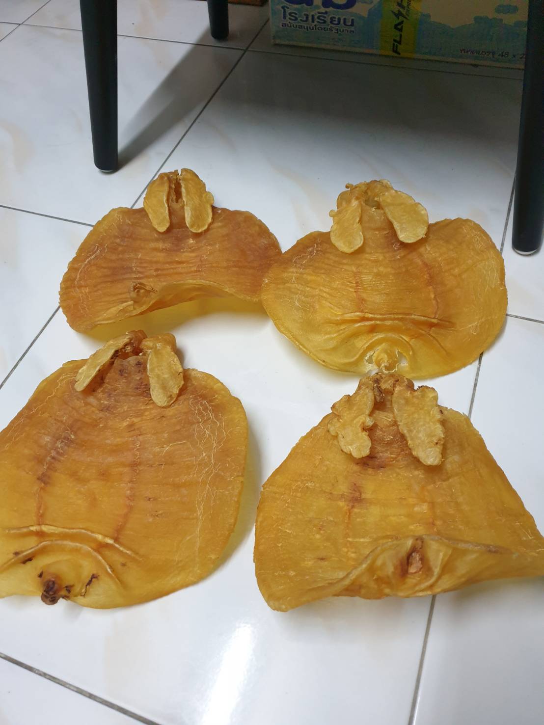 กระเพาะปลา