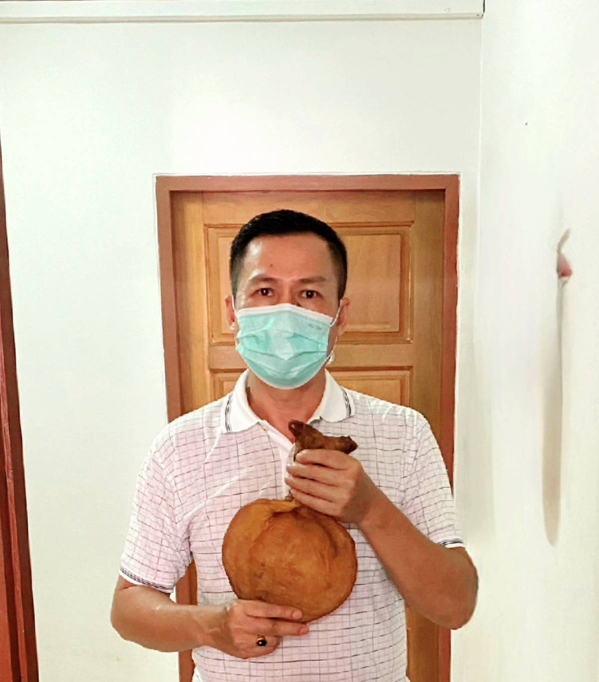 กระเพาะปลา
