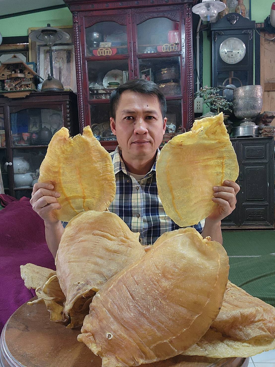 กระเพาะปลา
