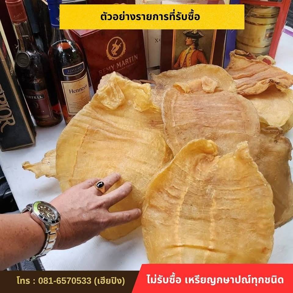 กระเพาะปลา
