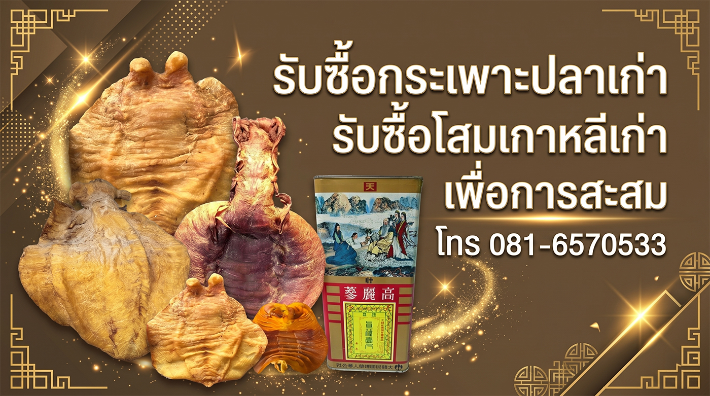 ร้านเยาวราชรับซื้อกระเพาะปลาเก่า